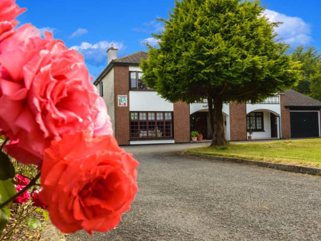 Killowen House B&B Drogheda Luaran gambar