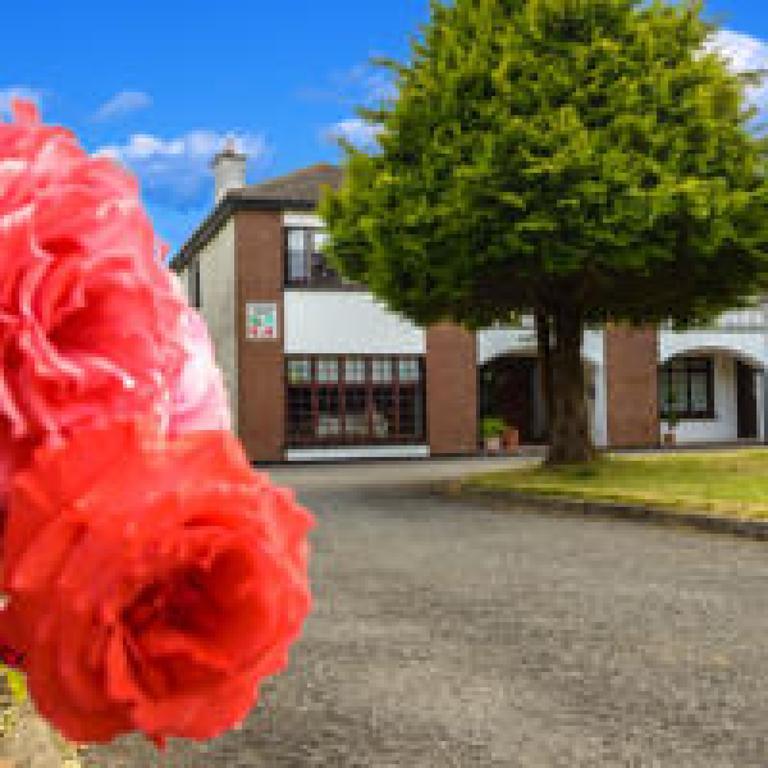 Killowen House B&B Drogheda Luaran gambar